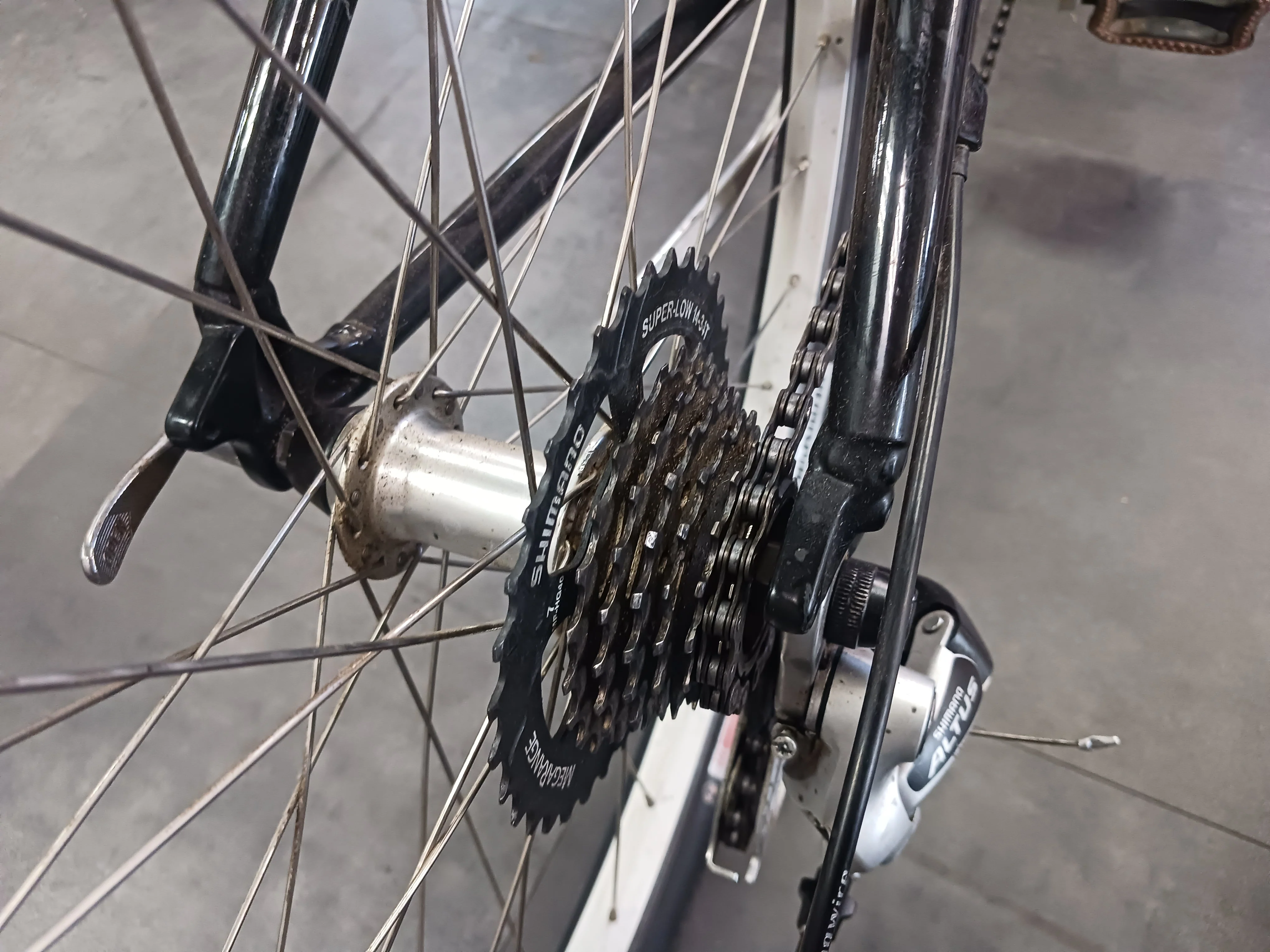 Specialized Expedition, Cruiser Bike, Medium - Image 5